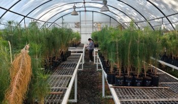 INIFAP capacita en análisis estadístico avanzado para datos experimentales agronómicos y ambientales