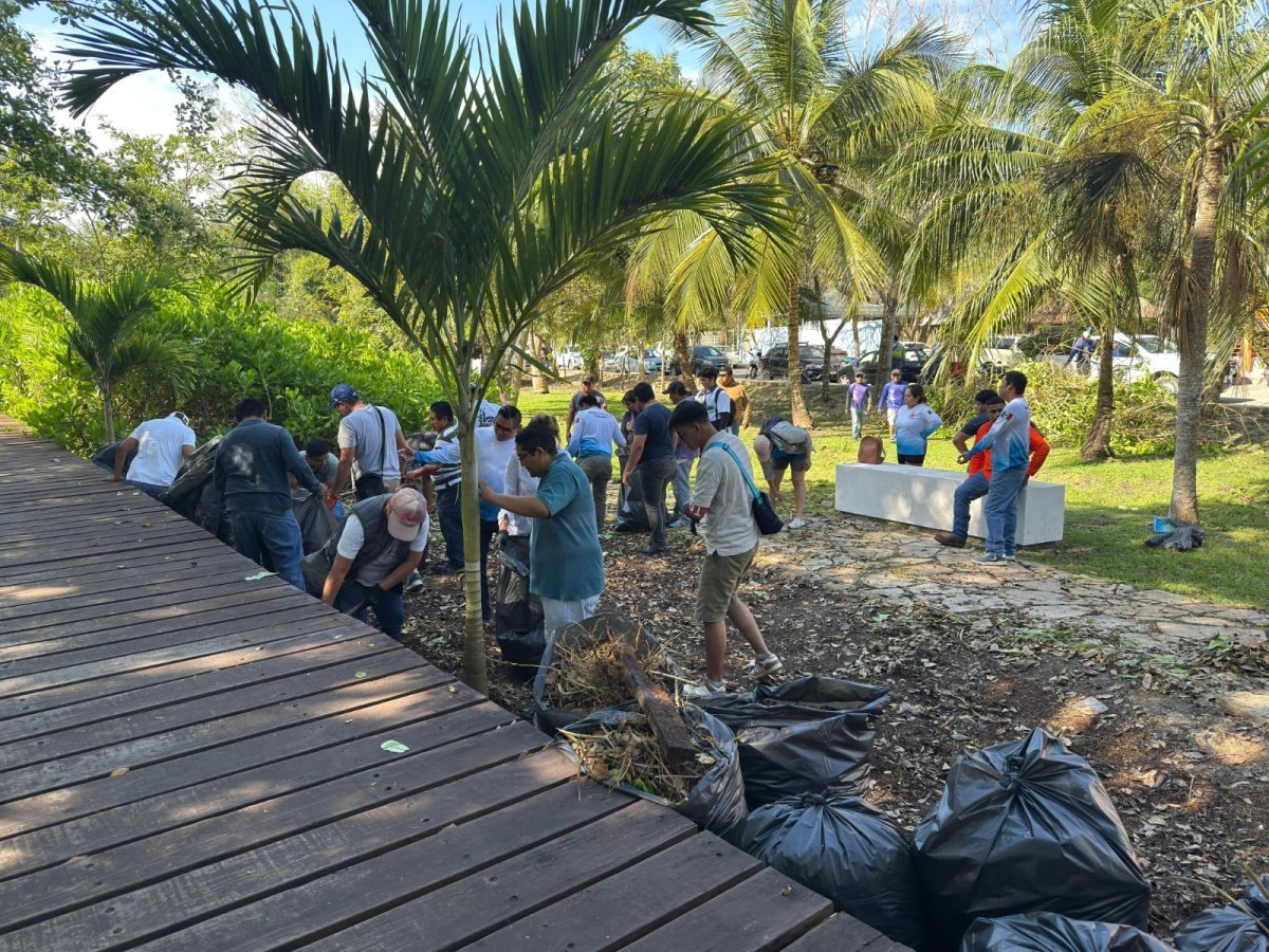 IBANQROO y Ayuntamiento de Bacalar implementan acciones de control contra especie invasora en &Aacute;rea Natural Protegida
