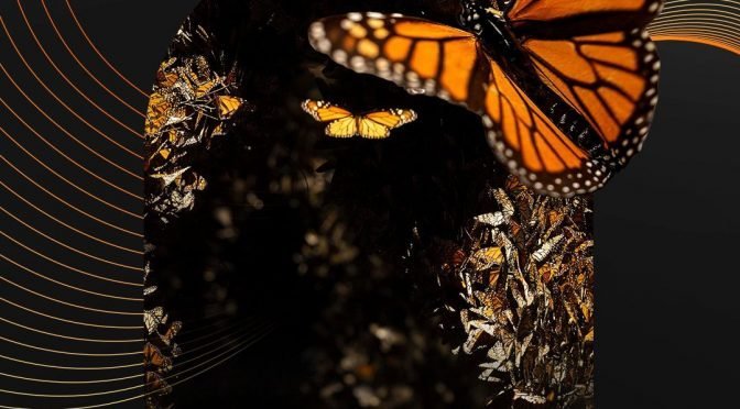 Michoac&aacute;n compite con seis nominaciones en premio Lo Mejor de M&eacute;xico