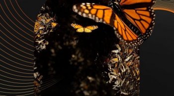 Michoac&aacute;n compite con seis nominaciones en premio Lo Mejor de M&eacute;xico