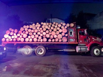 Policía Estatal y Municipal recuperan 97 rollos de pino en Teziutlán; detienen a dos hombres