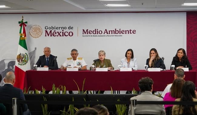 Identifican tres fuentes de contaminación por hidrocarburos en costas de Veracruz y Tabasco