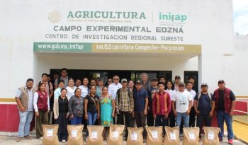 INIFAP y aliados entregan 500 kg de semilla de ma&iacute;z morado nativo a productores de Campeche