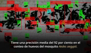 INSP desarrolla algoritmo EggCountATT para automatizar conteo de huevos del mosquito transmisor del dengue