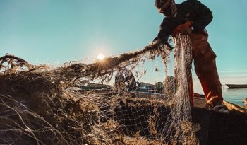 Pescadores de Tabasco y Veracruz recibirán apoyo directo por derrame en el Golfo de México