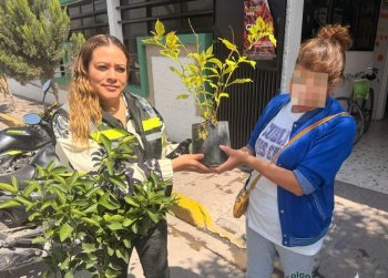 Soledad intercambia árboles por basura electrónica en programa municipal de reciclaje