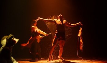 Cuerpos en Tránsito 2026 convierte a Tijuana en escenario mundial de danza con entrada libre