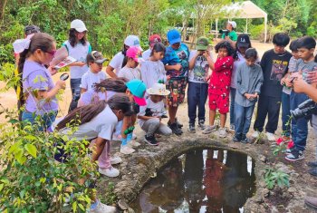 FPMC impulsa aprendizaje ambiental con 'Descubriendo la Naturaleza' en Parque Urbano Corazón de Cozumel
