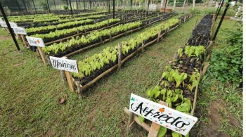 Gobierno de Tabasco supervisa rehabilitación de camino Jalapa-Castañal con inversión superior a 17 millones de pesos