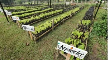Gobierno de Tabasco supervisa rehabilitación de camino Jalapa-Castañal con inversión superior a 17 millones de pesos