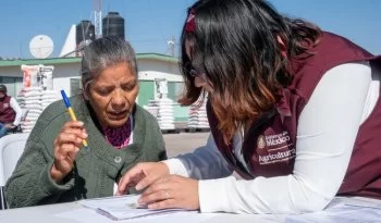 Gobierno federal y estatal ofrecen incentivo de $1,100 por tonelada de maíz blanco a productores de Sinaloa