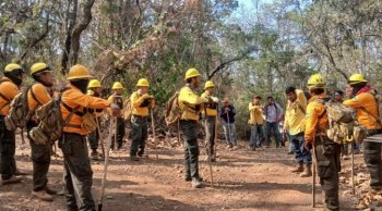 Incendio forestal en Nuevo Urecho, controlado al 100% y liquidado al 90%