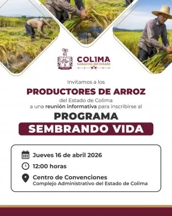 Gobierno de Colima convoca a productores de arroz a reunión informativa sobre Sembrando Vida