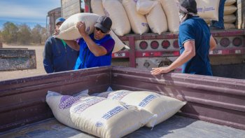 SDR abre por primera vez subsidio para alimento de gallinas ponedoras en Chihuahua