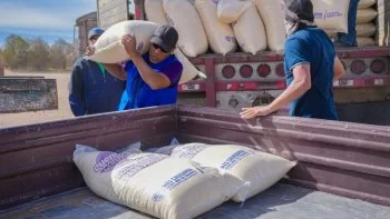 SDR abre por primera vez subsidio para alimento de gallinas ponedoras en Chihuahua