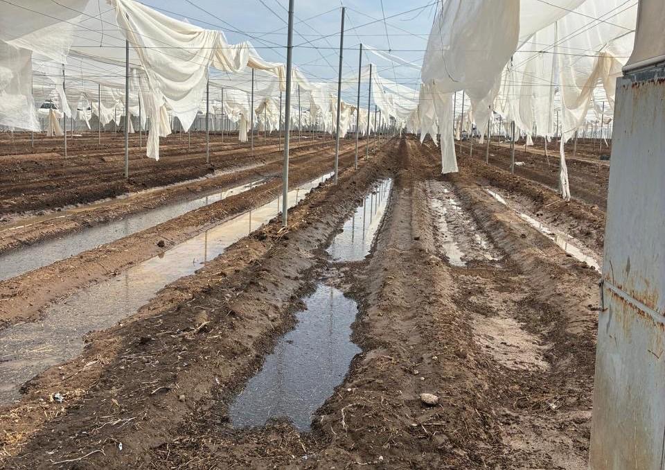 Gobierno de San Luis Potosí evalúa daños por tromba en sector rural y viviendas