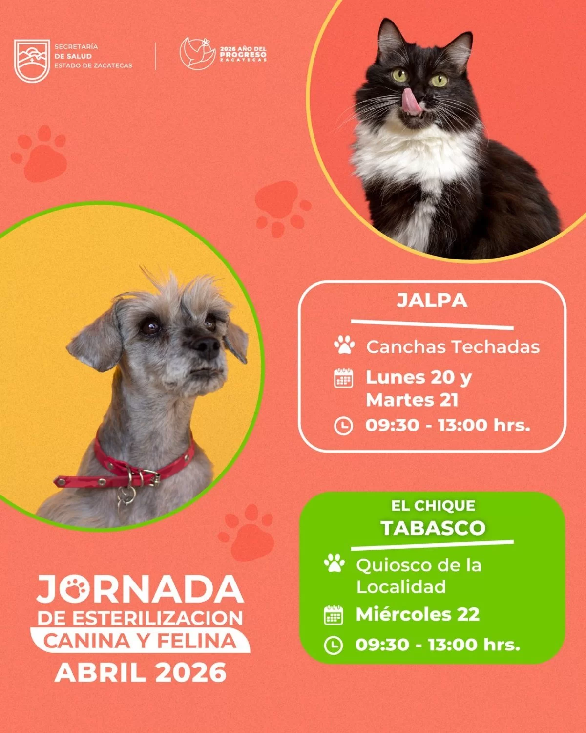 SSZ llevará jornada de esterilización gratuita a Jalpa y Tabasco