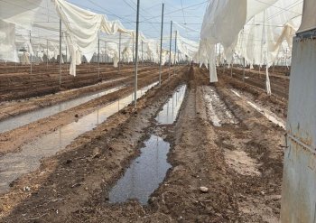 Gobierno de San Luis Potosí evalúa daños por tromba en sector rural y viviendas