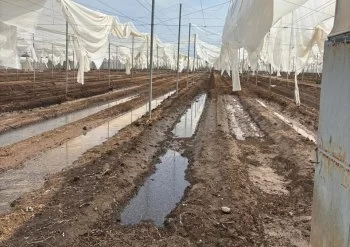 Gobierno de San Luis Potosí evalúa daños por tromba en sector rural y viviendas