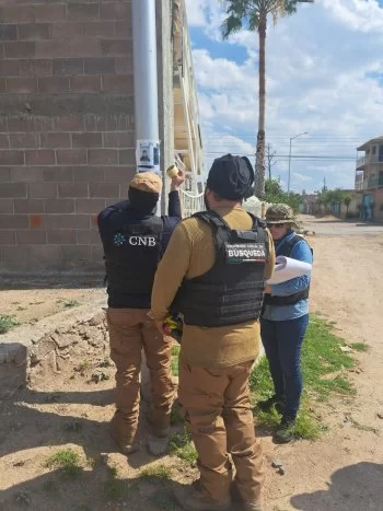 Autoridades realizan búsqueda forense y pega de cédulas en Pinos, Zacatecas