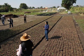 SADR evalúa daños por granizada en Atlixco; 200 unidades de producción afectadas