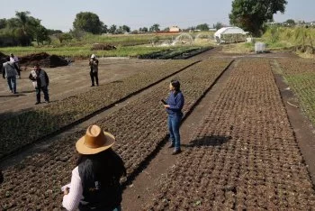 SADR evalúa daños por granizada en Atlixco; 200 unidades de producción afectadas