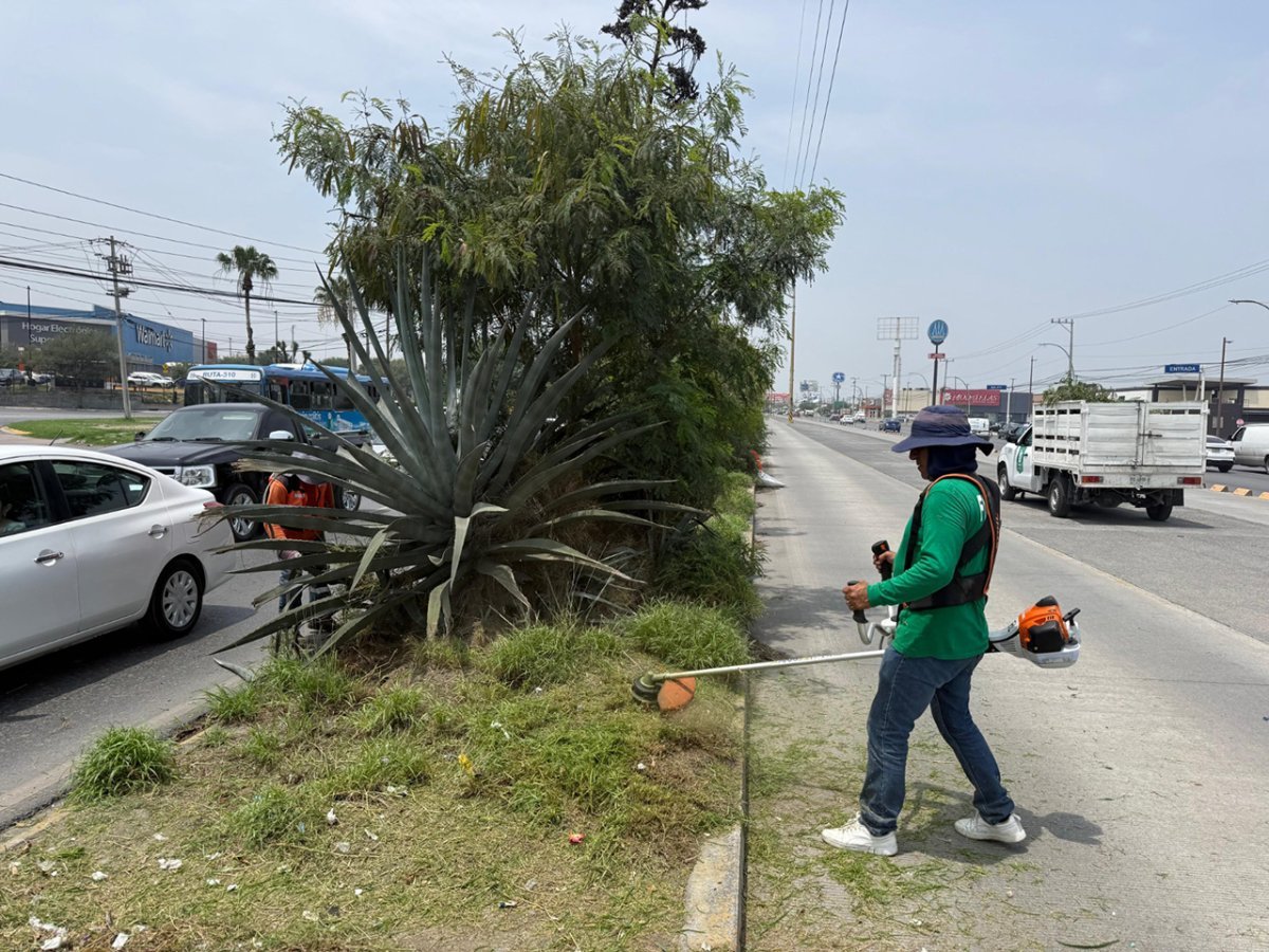 Gobierno de Nuevo León despliega siete brigadas en polígono FIFA; recolecta 3.5 toneladas de residuos