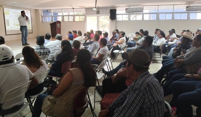 INIFAP y Sembrando Vida analizan retos productivos de cacao, limón y plátano en Tabasco