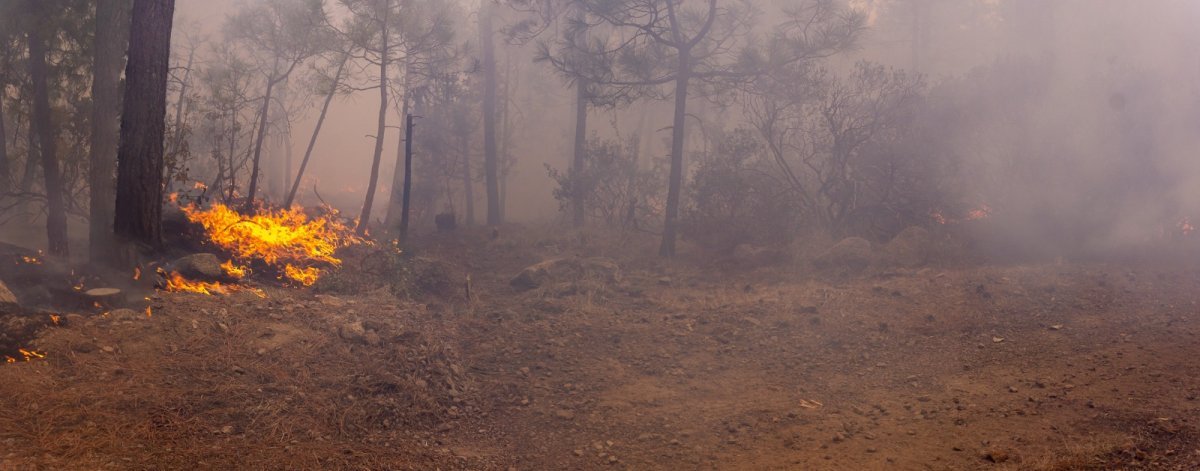 SDR pide a productores evitar quemas agrícolas sin permiso ante riesgo de incendios forestales
