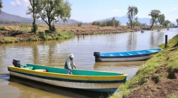 Hallan tres nuevos manantiales en lago de Pátzcuaro; gobierno estatal consolida rescate