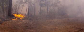 SDR pide a productores evitar quemas agrícolas sin permiso ante riesgo de incendios forestales