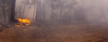 SDR pide a productores evitar quemas agrícolas sin permiso ante riesgo de incendios forestales