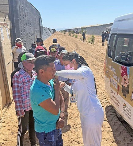Brigadas de salud vacunan contra sarampión a jornaleros en campos agrícolas de Mulegé