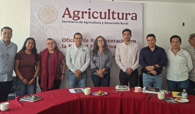 Capacitan a personal de Agricultura en Chiapas con app y sistema para recuperar suelos degradados