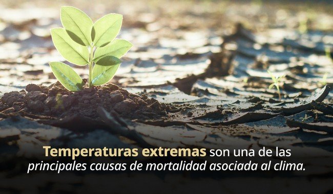 INSP realiza seminario SALURBAL-Clima México para mitigar efectos del cambio climático en la salud