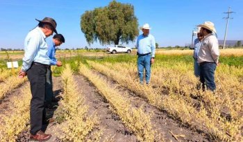 INIFAP y Parque Agrotecnológico Xonotli fortalecen colaboración con nuevos ensayos de cultivos