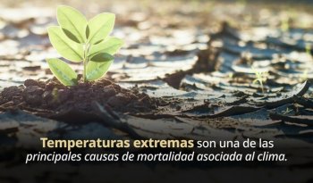 INSP realiza seminario SALURBAL-Clima México para mitigar efectos del cambio climático en la salud