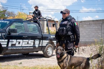 Policía Estatal de Querétaro, entre las 10 mejor evaluadas del país: ENSU