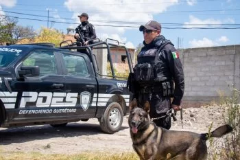 Policía Estatal de Querétaro, entre las 10 mejor evaluadas del país: ENSU