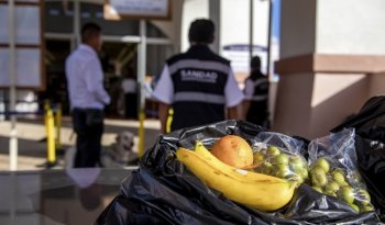 Senasica impide ingreso de 743 productos con plagas en lo que va de 2026