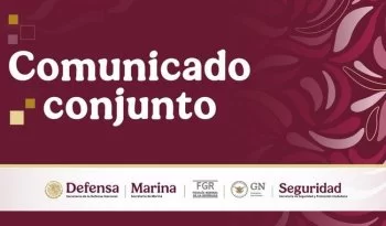 Detienen en Nayarit a 'El Jardinero', generador de violencia, tras operación quirúrgica sin disparos