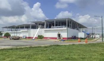Planta de moscas estériles en Chiapas avanza 75% para combatir plaga ganadera