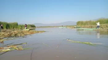 Descubren 18 nuevos manantiales en el lago de Pátzcuaro gracias a trabajos de rescate y desazolve