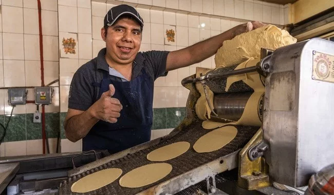 Gobierno amplía a 186 centros de distribución de maíz para estabilizar precio de la tortilla