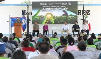 AMEXCID inicia registro de productores en Belice para segunda fase de Sembrando Vida