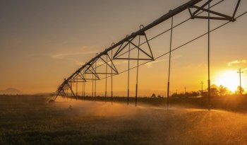 Gobierno amplía hasta 2026 plazo para reinscripción al subsidio de energía eléctrica agrícola