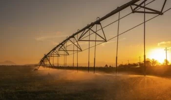 Gobierno amplía hasta 2026 plazo para reinscripción al subsidio de energía eléctrica agrícola