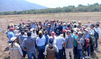 INIFAP y Sembrando Vida capacitan a técnicos en muestreo de suelos en Guerrero