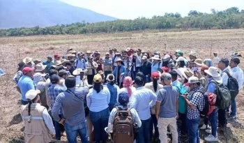 INIFAP y Sembrando Vida capacitan a técnicos en muestreo de suelos en Guerrero