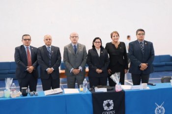 Mirna Ireri Sánchez Gómez asume presidencia de la COEPES en Guanajuato para 2026-2029